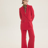 Blazer double breasted  jacket