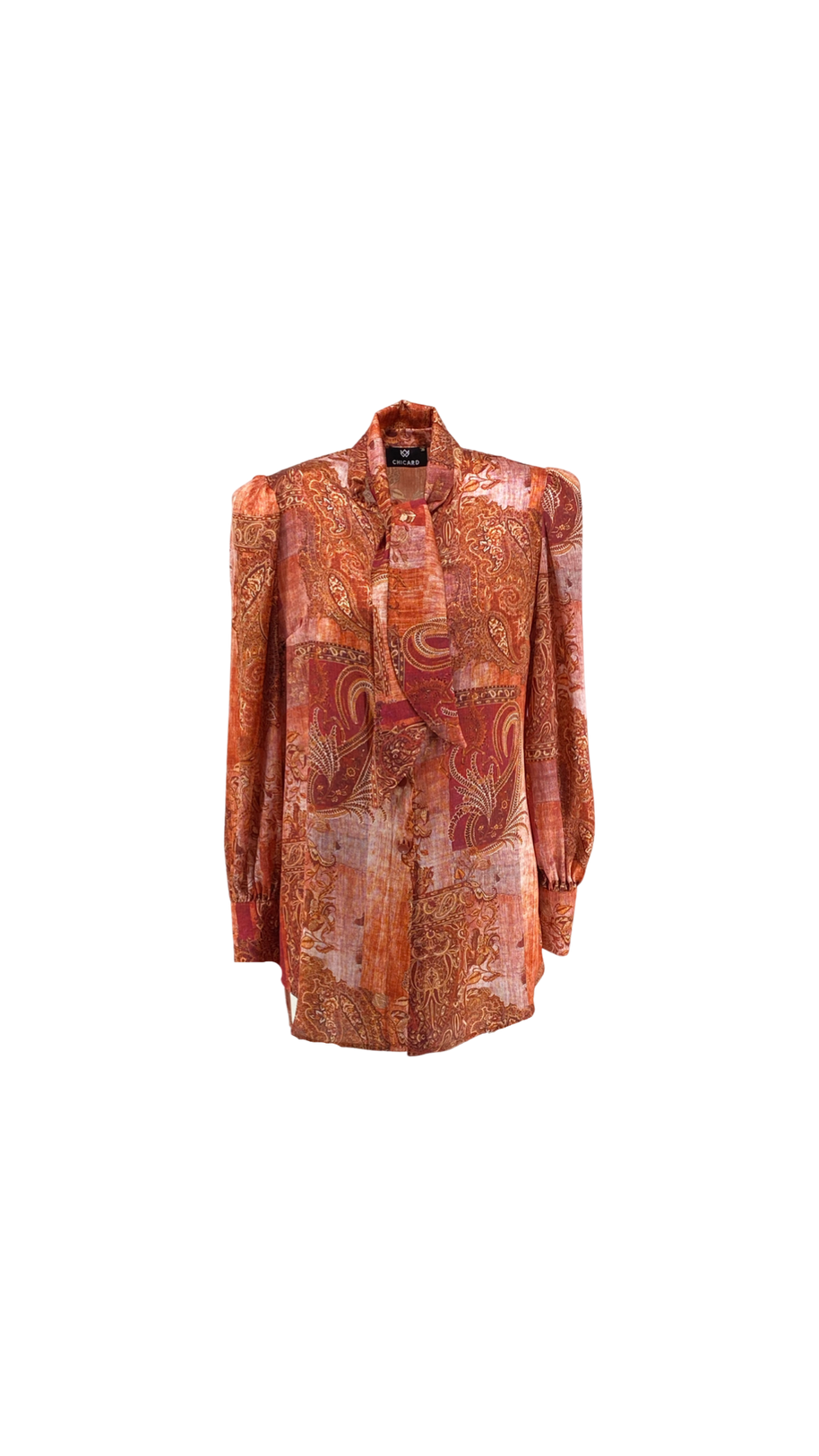 Πουκάμισο με Σχέδια Λαχουριών