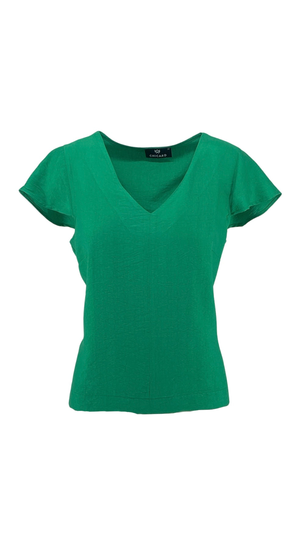 Blouse with Ruffled Sleeves