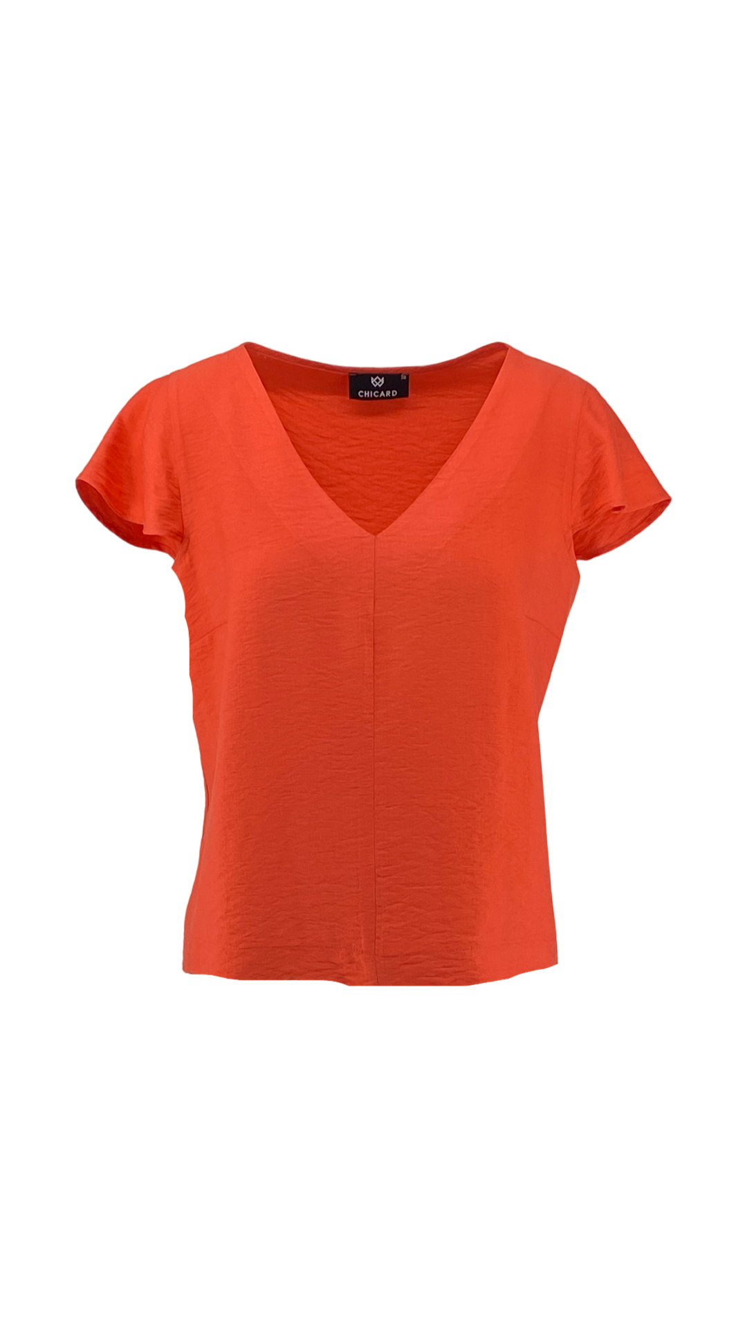 Blouse with Ruffled Sleeves